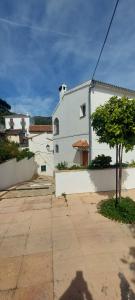 a white building with a tree in front of it at El callejón in Benarrabá