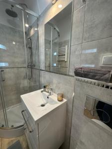 La salle de bains est pourvue d'un lavabo, d'une douche et d'un miroir. dans l'établissement Salwator Residence, à Cracovie