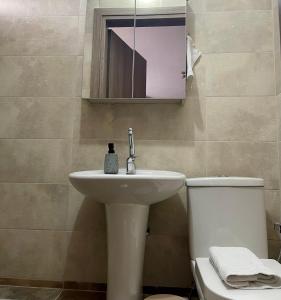 La salle de bains est pourvue d'un lavabo, de toilettes et d'un miroir. dans l'établissement Sunny apartment 1, à Serres