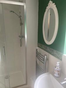 uma casa de banho com um chuveiro, um WC e um espelho. em Countryside cottage with private garden & hot tub em Lifton