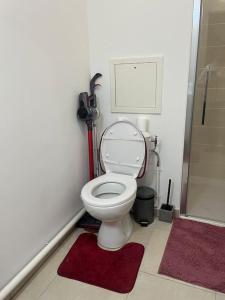 a bathroom with a toilet with red rugs at Appartement luxueux Au coeur de lille in Lille