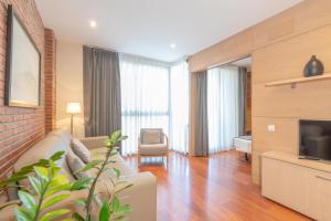 a living room with a couch and a television at Serennia Cest Apartamentos Arc de Triomf in Barcelona