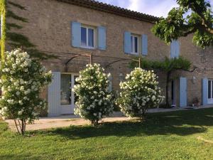 Tres árboles con flores blancas delante de un edificio en Air-conditioned Provençal farmhouse with private pool, view magnificent, located in Lagnes, close Isle S/Sorgue, 9 people, en Lagnes