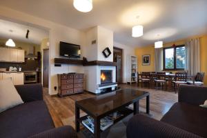 a living room with a couch and a fireplace at Villa Vesperia in Ižipovce