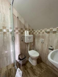 uma casa de banho com um WC e um lavatório em Fruškogorska Lugarnica em Mala Remeta