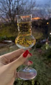 Fruškogorska Lugarnica في Mala Remeta: يد تحمل كأس نبيذ مع طلاء أظافر أحمر