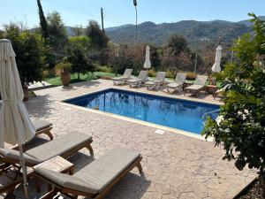 a swimming pool with chairs and a bunch of umbrellas at Sofros To Apomero in Ayios Pavlos