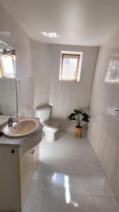 uma casa de banho branca com um WC e um lavatório em T3 rénové en face des Thermes em Néris-les-Bains