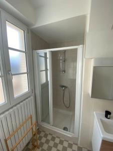 a bathroom with a shower with a sink and a toilet at Spacieux et lumineux Centre Jaude 100m2 in Clermont-Ferrand
