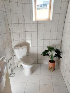 uma casa de banho com um WC e um vaso de plantas em T3 rénové en face des Thermes em Néris-les-Bains