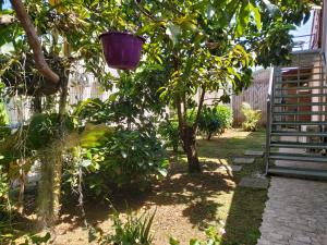 een paarse emmer hangend aan een boom in een tuin bij Ti Cozy in Baie-Mahault