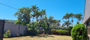 a backyard with palm trees and a fence at Three Little Birds Guesthouse in Durban