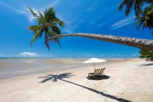 a beach with a palm tree and a chair and an umbrella at Pousada Samba Pa Ti in Pôrto de Pedras