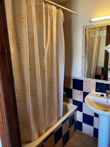 y baño con cortina de ducha y lavamanos. en CASA PELENTOS Sandinies, en Sandiniés