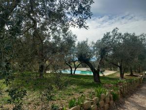 Gallery image of Uliveto Benedetti in Spoleto +15 photos