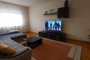 a living room with a couch and a television at Apartment Dan Timisoara - two bedrooms in Timişoara