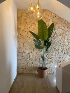 Fotografie z fotogalerie ubytování CasadiCampo v destinaci Scauri