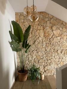Fotografie z fotogalerie ubytování CasadiCampo v destinaci Scauri