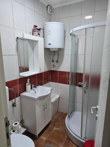 bagno con doccia, lavandino e servizi igienici di Apartmani Borko 3-1 a Loznica Altre 10 foto