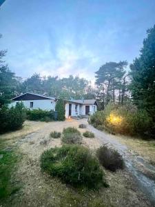 una casa en medio de un patio con árboles en Cozy house near the sea, en Höllviken