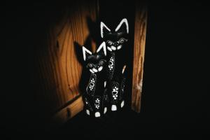 Fotografie z fotogalerie ubytování - Magic Bus - v destinaci Klorakas