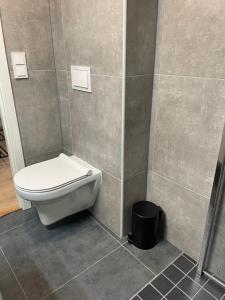 uma casa de banho com WC numa cabina de duche em Helt ny leilighet em Leknes