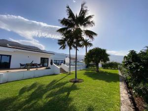 a palm tree in the yard of a house at Villa Moritz in Santa Úrsula