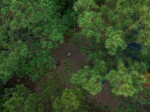 an overhead view of a forest with a building in the middle at Ember Skye Cabin - 2 bdr & Bunk Nook/2.5 bath in Broken Bow