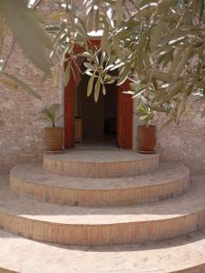 un escalier avec des plantes en pot dans l'établissement Harmonie des alizés, à Essaouira