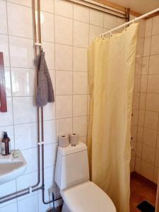 a bathroom with a toilet and a shower and a sink at Bo på lantgård in Motala