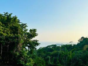 una colina con árboles y vistas al océano en Vista Azul Condo . Amazing Place, en Manuel Antonio