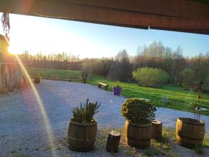 a group of potted plants in barrels in a garden at LE DOMAINE DU SENS in Frontenaud