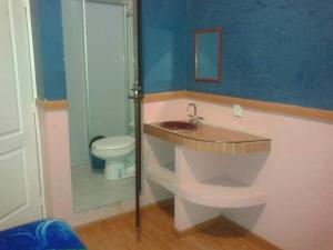 ein Bad mit einem Waschbecken und einem WC in der Unterkunft Posada Rincon Campirano in Zacatlán
