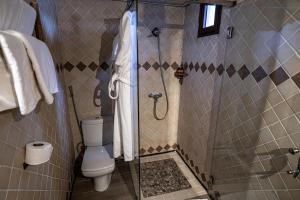 a bathroom with a shower and a toilet in it at Hotel Xaluca Dades in Boumalne