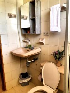 a small bathroom with a toilet and a sink at Casa Río donde guardamos un secreto encantador in Montería