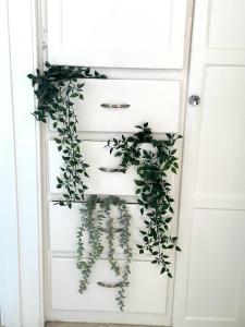 een groene klimplant hangend aan een deur bij Cottage Stay: near LA & OC in Bellflower