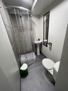 a bathroom with a shower and a toilet and a sink at Hostal House 995 in Santiago