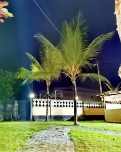 twee palmbomen voor een gebouw 's nachts bij residence des coeurs gabriella in Kribi