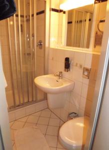 uma casa de banho com um lavatório, um chuveiro e um WC. em Gasthof Kampenwand Aschau em Aschau im Chiemgau