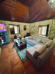 - un salon avec un canapé et une télévision dans l'établissement QUINTA DONA MANUELA, à Formariz