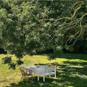 ein weißer Tisch und Stühle unter einem Baum in der Unterkunft Jungshovedgaard Bed & Breakfast in Præstø