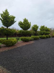 una línea de árboles y arbustos al lado de una carretera en Welcome to Tunmobi Villa, its home away from home., en Ballyjamesduff