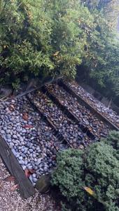 an overhead view of a garden with plants and rocks at Oasis in heart of Dublin city in Dublin