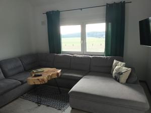 a living room with a couch and a table at Agroturystyka "Apartament na wsi" Bory Tucholskie in Szlachta