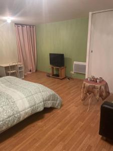 1 dormitorio con 1 cama y TV de pantalla plana en Chambre verte spacieuse côté aéroport, en Pusignan