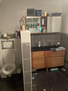 a bathroom with a toilet and a sink at Chambre verte spacieuse côté aéroport in Pusignan