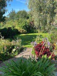 a garden with colorful flowers and a path at Ferienwohnung-Familie Beitz in Zirchow