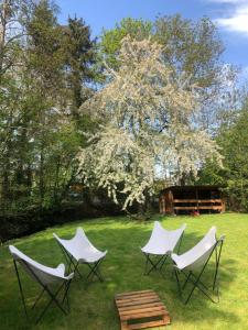 three chairs and a table in a yard with a tree at Le Petit Woerthel in Wolxheim