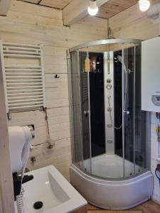 a bathroom with a shower and a sink at Dream Catcher House 