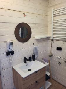 a bathroom with a sink and a mirror at Dream Catcher House 